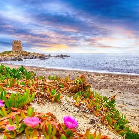 Lighthouse * Àrbatax