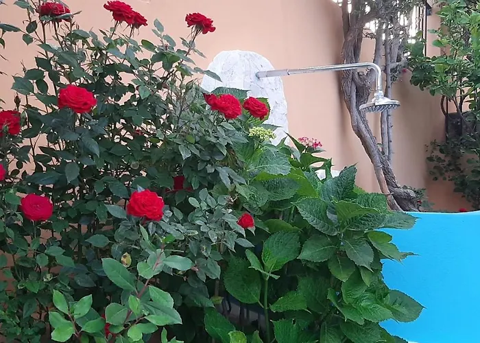 Il Faro Sul Mare Vakantiehuis Àrbatax